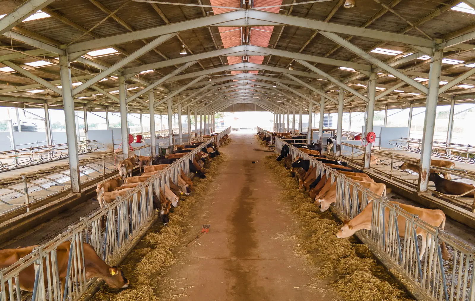 NAROVAC Progresses Toward Market Authorization